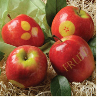 Chưa ai đo lường mức độ độc hại của những loại trái cây được bọc túi tẩm thuốc sâu, nhưng chắc chắn người tiêu dùng sẽ cảm thấy sợ khi tận mắt chứng kiến những trái táo, trái lê Trung Quốc được trồng, thu hoạch và bảo quản như thế nào.