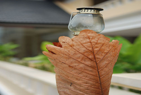 Vẻ đẹp có thể đến từ chiếc đèn trần cổ kính nơi tiền sảnh như đang lạc vào một tòa lâu đài trong thế giới truyện cổ Andersen… Vẻ đẹp có thể đến từ chiếc đèn trần cổ kính nơi tiền sảnh như đang lạc vào một tòa lâu đài trong thế giới truyện cổ Andersen…