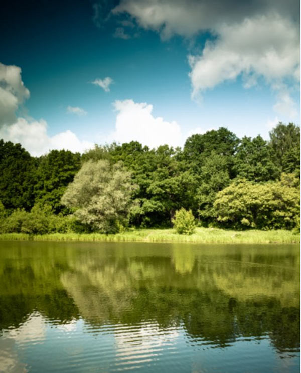 Trước đó, một chuyến khảo sát thực tế tại Ba Vì giữa ban đầu tư Archi Invest và ông Philip Kozely đã khiến cho người kiến trúc sư tài năng này ngỡ ngàng về thiên nhiên tươi đẹp và kho tàng truyền thuyết của vùng đất này. Ngay hôm đó, những bản phác tay về những đường cong mềm mại của 9 căn biệt thự tượng trưng cho chín Ngà Voi trên đỉnh đồi nhìn lên đỉnh Ba Vì hùng vĩ đã được phác lên, và cái tên “Nine Ivory - Chín ngà voi” ra đời từ đó.