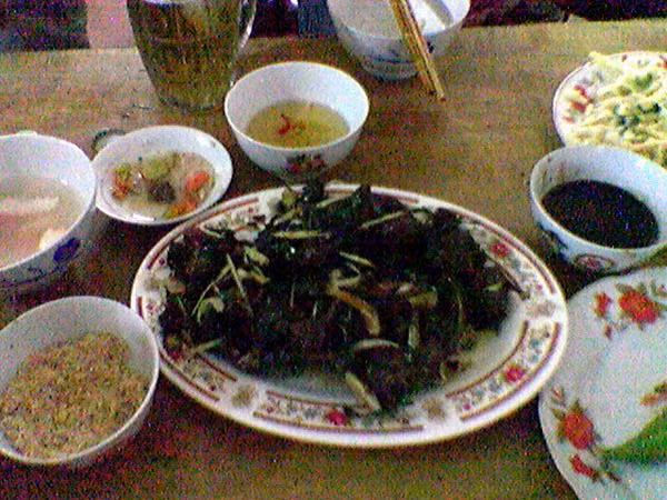 4. Dơi quạ hấp chao Dơi quạ có nhiều ở vùng U Minh. Khi làm thịt dơi, lúc lột da tránh không nên để lông dính vào và tìm bỏ hết chất xạ trong con dơi, thịt mới mất mùi hôi. Chặt bỏ đầu, cánh, rửa thật sạch máu, chặt từng miếng vừa ăn. Sau đó lấy chao, bỏ bớt nước cho vài lòng đỏ hột gà đánh nhuyễn cùng với chao. Ðể gia vị vào ướp chung với thịt, một thời gian cho thịt thấm, sau đó bắc lên bếp hấp cách thủy đến thịt chín mềm. Món này ăn rất bổ, nhất là bổ thận.