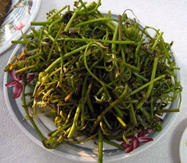 3. Đọt choại đất phèn “Rủ nhau lên đất bảy làng,hái rau choại chột, nhổ bàng về đương. Choại chột thì chấm nước tương. Bàng thì đương nóp người thương tôi nằm” - Đó là bốn câu ca có đề cập tới món ngon dân dã mà người ta gọi là “choại chột”. Choại chột được người Đồng Tháp Mười kêu là “rau chay”, còn dân Hậu Giang có người gọi là “đọt chại”. Thật ra, đúng tên của nó là “đọt choại”.