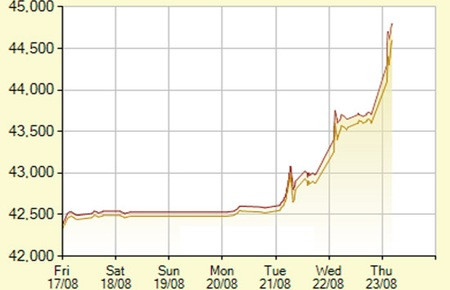 Sau vụ bầu Kiên bị bắt, giá vàng tăng thẳng đứng, người dân hoang mang chạy theo tâm lý đám đông (Ảnh SJC ghi nhận giá vàng đầu ngày 23/8)