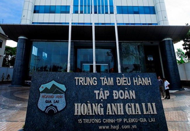 Tập đoàn Hoàng Anh Gia Lai chuyển hướng sang trồng cây ăn quả, xây dựng nhà máy ép nước trái cây - ảnh nguồn Hoàng Anh Gia Lai.