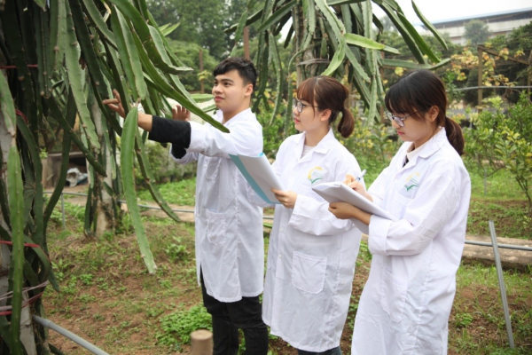 Ảnh minh hoạ. Website VNUA Ảnh minh hoạ. Website VNUA
