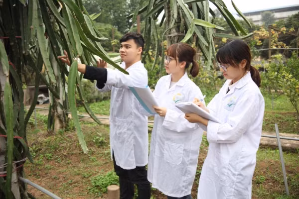 Ảnh minh hoạ. Website VNUA