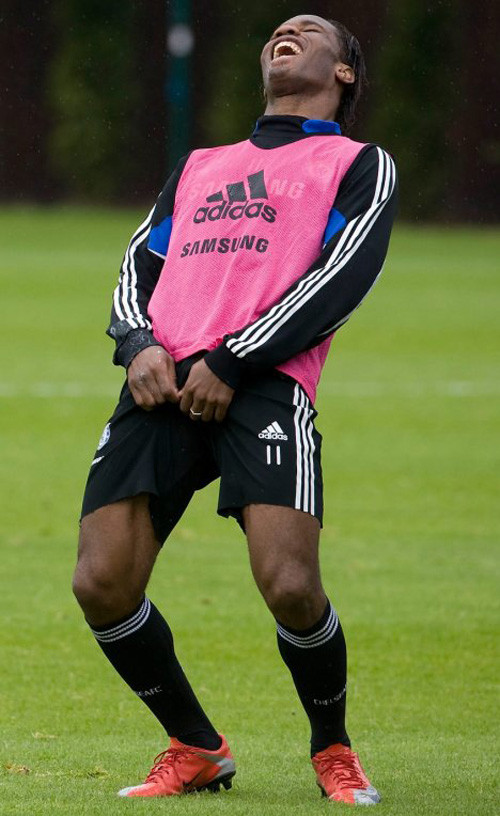 Hành động và nụ cười khoái chí của voi rừng trên sân tập.