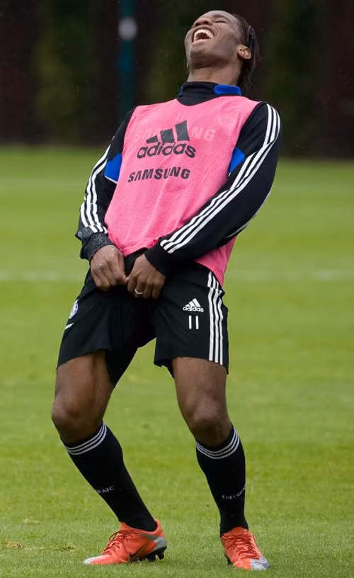 Hành động và nụ cười khoái chí của voi rừng trên sân tập.