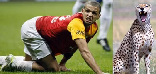 Tiền vệ người Brazil, De Melo giống như một chú báo đang tức giận.