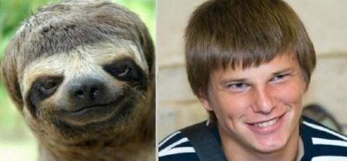 Con vật này giống hệt với Arshavin. Con vật này giống hệt với Arshavin.