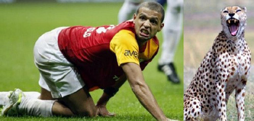 Tiền vệ người Brazil, De Melo giống như một chú báo đang tức giận. Tiền vệ người Brazil, De Melo giống như một chú báo đang tức giận.