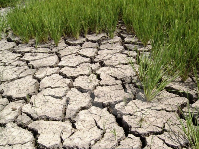 Việt Nam kêu gọi quốc tế hỗ trợ nhân đạo ứng phó với hạn, mặn lịch sử ảnh 2 Việt Nam kêu gọi quốc tế hỗ trợ nhân đạo ứng phó với hạn, mặn lịch sử ảnh 2