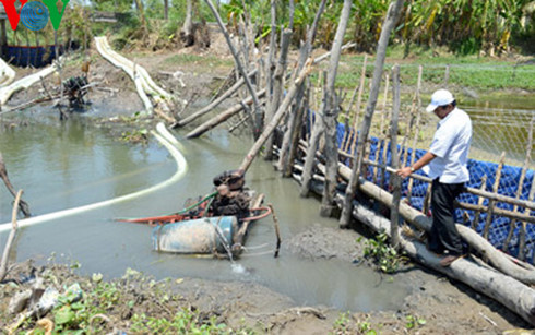 Giải pháp hữu hiệu cứu lúa khỏi hạn, mặn ở Đồng bằng sông Cửu Long ảnh 1 Giải pháp hữu hiệu cứu lúa khỏi hạn, mặn ở Đồng bằng sông Cửu Long ảnh 1