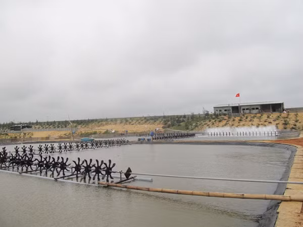 Ao nuôi tôm trên cát tại xã Trung Trạch - Bố Trạch – Quảng Bình. (Ảnh: Báo Quảng Bình)