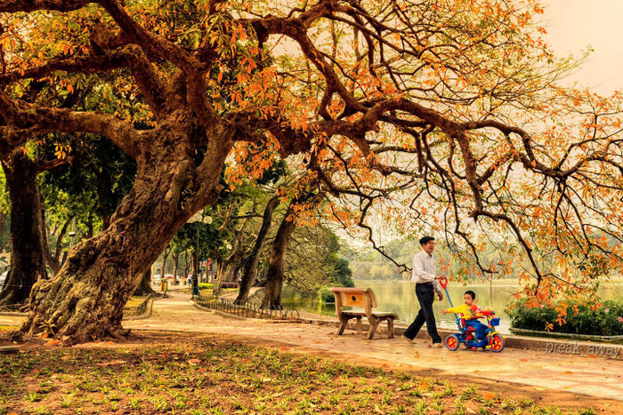 Đã thấy đông về trong gió thu ảnh 3 Đã thấy đông về trong gió thu ảnh 3
