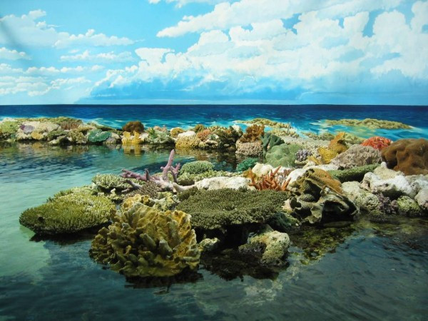 5. Great Barrier Reef (Australia) Cát trắng tinh khiết và rạn san hô đầy ắp cá là điểm nổi bật của quần đảo Great Barrier Reef. Những đảo nhỏ như Reef, Lizard, Hayman, Bedarra là địa điểm lý tưởng cho các thợ lặn. Bãi biển đẹp nhất: Bãi biển Whitehaven ở Whitsundays là bãi biển ăn ảnh nhất với rạn san hô nhiều màu sắc và 7 km bờ cát trắng phau tưởng như kéo dài mãi. Khu nghỉ dưỡng: Lizard Island Resort, một resort đẳng cấp 5 sao với 40 phòng hiện đại và 24 bãi biển tư nhân. 5. Great Barrier Reef (Australia) Cát trắng tinh khiết và rạn san hô đầy ắp cá là điểm nổi bật của quần đảo Great Barrier Reef. Những đảo nhỏ như Reef, Lizard, Hayman, Bedarra là địa điểm lý tưởng cho các thợ lặn. Bãi biển đẹp nhất: Bãi biển Whitehaven ở Whitsundays là bãi biển ăn ảnh nhất với rạn san hô nhiều màu sắc và 7 km bờ cát trắng phau tưởng như kéo dài mãi. Khu nghỉ dưỡng: Lizard Island Resort, một resort đẳng cấp 5 sao với 40 phòng hiện đại và 24 bãi biển tư nhân.