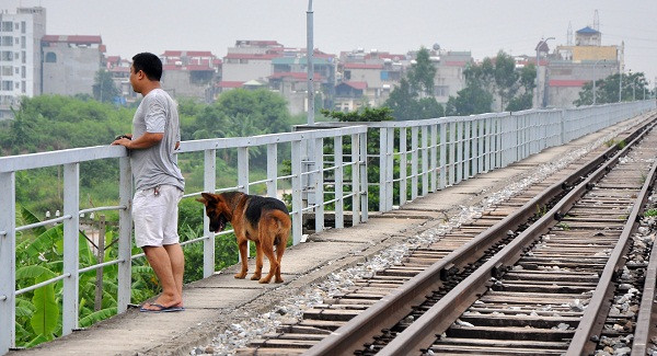 Thú cưng cũng được một người đi tập thể dục dẫn theo