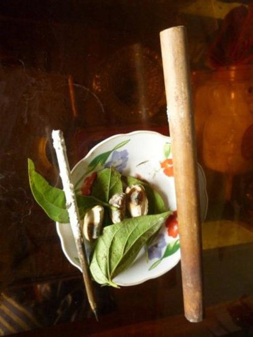 Ông Thái kể, dụng cụ chữa rắn cắn của mẹ ông để lại chỉ có một ống nứa và mấy câu thần chú. Khi có người bị rắn cắn dù độc đến đâu nhưng ông chỉ cần lấy ống nứa, ba quả cau, ba lá trầu tươi chia làm 9 miếng đều nhau, sau đó dùng ống nứa, cau trầu thổi 81 lần lên người bệnh rồi đọc mấy câu thần chú là người đó sẽ khỏi ngay, không cần bôi thuốc hay dùng bất cứ một thứ gì khác. “Mỗi đời chỉ có thể truyền lại cho một người trong gia đình cách chữa trị này. Người đó phải lĩnh hội được bí quyết mà người trước truyền lại cho mình thì mới chữa trị khỏi bệnh được. Ống nứa mà tôi dùng chữa rắn cắn cho bà con hiện nay là do mẹ tôi để lại, nó được thờ cúng trên bàn thờ tổ tiên, chỉ khi nào có người đến nhờ cứu giúp thì mới thắp hương xin phép đưa ra dùng, xong việc lại để lên bàn thờ cúng”, ông Thái cho hay. Ông Thái kể, dụng cụ chữa rắn cắn của mẹ ông để lại chỉ có một ống nứa và mấy câu thần chú. Khi có người bị rắn cắn dù độc đến đâu nhưng ông chỉ cần lấy ống nứa, ba quả cau, ba lá trầu tươi chia làm 9 miếng đều nhau, sau đó dùng ống nứa, cau trầu thổi 81 lần lên người bệnh rồi đọc mấy câu thần chú là người đó sẽ khỏi ngay, không cần bôi thuốc hay dùng bất cứ một thứ gì khác. “Mỗi đời chỉ có thể truyền lại cho một người trong gia đình cách chữa trị này. Người đó phải lĩnh hội được bí quyết mà người trước truyền lại cho mình thì mới chữa trị khỏi bệnh được. Ống nứa mà tôi dùng chữa rắn cắn cho bà con hiện nay là do mẹ tôi để lại, nó được thờ cúng trên bàn thờ tổ tiên, chỉ khi nào có người đến nhờ cứu giúp thì mới thắp hương xin phép đưa ra dùng, xong việc lại để lên bàn thờ cúng”, ông Thái cho hay.