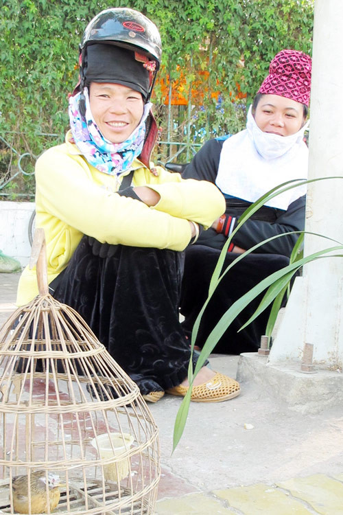 Không nhất thiết đi xe mới đội mũ bảo hiểm Không nhất thiết đi xe mới đội mũ bảo hiểm