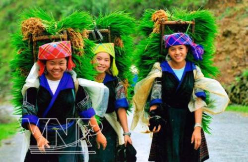 Những nụ cười bên cỏ xanh