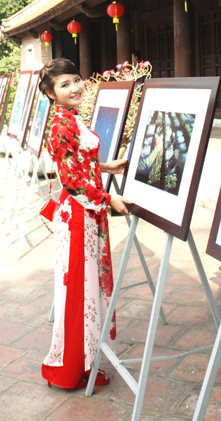 Phùng Thị Nhàn, Hải Dương, Học viện Ngân hàng (417) Nhất ngày 15/12/2012