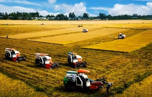 Bảo lãnh của Quỹ bao gồm nghĩa vụ trả nợ gốc, nợ lãi khoản vay của bên được bảo lãnh đối với tổ chức tín dụng (ảnh minh họa - nguồn nhandan.com.vn).