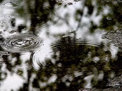 4h30', các tử tội được đưa lên xe. Trước khi bước chân vào trong, ai cũng cố nấn ná vài giây đưa mắt nhìn xung quanh. Đêm trước, trời mưa rất to, mới tạnh được chừng 2 tiếng trước nên không khí khá mát mẻ và ẩm ướt. Một vài giọt nước mưa còn đọng trên các tán cây rơi lộp độp. Trương Văn Cam, Nguyễn Việt Hưng một già, một trẻ đều không giấu được thoáng bất chợt rùng mình. Rất có thể đó là cái rùng mình cuối cùng cho phút giây nuối tiếc tự do và cuộc sống. Đoàn xe chuyển tử tội tiến ra Thủ Đức, có xe mô-tô cảnh sát dẫn đường và có xe cảnh sát bảo vệ hộ tống. Để đảm bảo an toàn, từ suốt đêm trước, trên tất cả các ngã tư, giao lộ mà đoàn xe đi qua Công an TP HCM đều cắt cử cảnh sát giao thông trực sẵn.