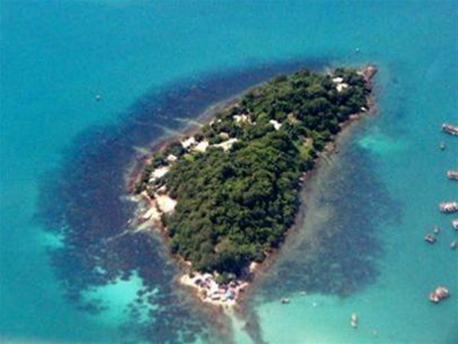 Trại “Cửu Sừng" chẳng những không “hướng nghiệp” được đám du đảng, mà trái lại nơi đây đã làm cho chúng kết tình “huynh đệ” sâu nặng hơn, để sau này khi được thả về đất liền, chúng tiếp tục trở thành những băng nhóm du đảng còn dữ dội hơn trước lúc ra đảo. Toàn bộ đám du đãng bị bắt đưa ra đảo như Hải Súng, Hoà áo thun, Lâm Chín ngón, Bảy Si, Hỏi Phoòng Kin, Thanh tưa, Quẩy Thầu Hao... sau này đều là những tên du đãng cộm cán nhất của Sài Gòn – Chợ Lớn. Khi Đại và cả đám đàn em bị tống ra đảo Phú Quốc, vợ Đại Cathay ở lại Sài Gòn biết chắc rằng loại tù không án như chồng mình khó có ngày trở về. Cô cùng anh trai treo số tiền 1,5 triệu đồng, là số tiền cực lớn lúc đó, cho ai có cách cứu Đại Cathay đem về đất liền. Món hời này đã được đại tá Long - một sĩ quan thuộc lực lượng Hải quân chỉ huy tàu tuần lưu - nhận giúp đỡ.