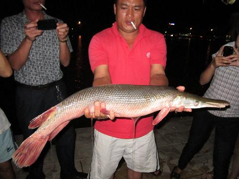 Anh Hạnh với tác phẩm câu được Xon xao ca la dau giong het ca sau