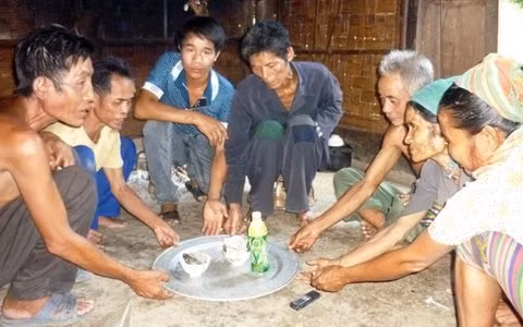 Ky la vuot dao nung, ngam lua... duoi benh