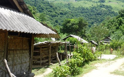 Hàng loạt phụ nữ Nghệ An mất tích ảnh 3 Hang loat phu nu Nghe An mat tich