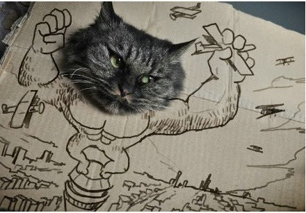 Mèo Kinh Kong Mèo Kinh Kong