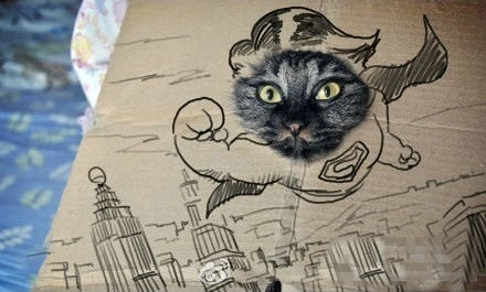 Đây là Super Cat chứ không phải Super Man đâu nhé! Đây là Super Cat chứ không phải Super Man đâu nhé!