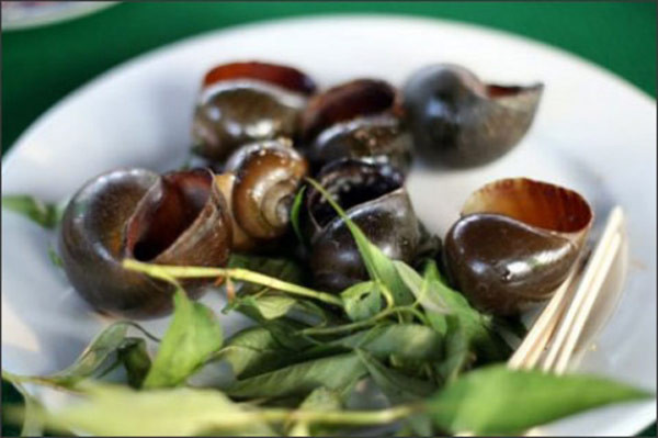 Ốc nướng tiêu ăn đúng điệu phải húp cả nước gia vị bên trong ốc, đặc biệt hơn, món ăn này hợp nhất là khi kết hợp với rau răm. Ốc nướng tiêu ăn đúng điệu phải húp cả nước gia vị bên trong ốc, đặc biệt hơn, món ăn này hợp nhất là khi kết hợp với rau răm.