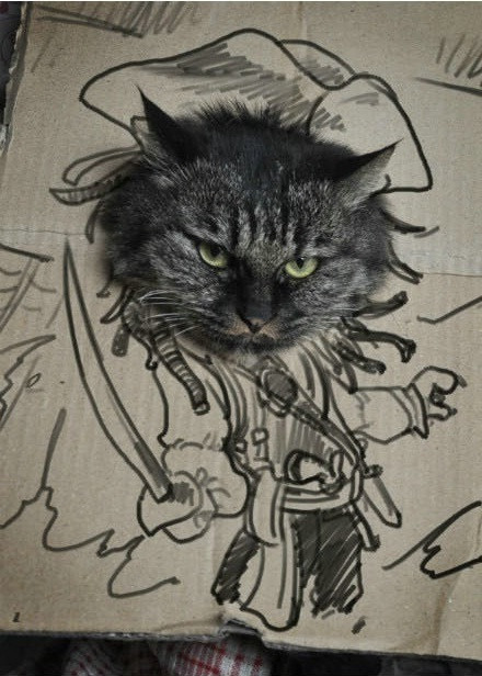 Cướp biển nổi tiếng Cat Sparrow chứ không phải Jack Sparrow Cướp biển nổi tiếng Cat Sparrow chứ không phải Jack Sparrow