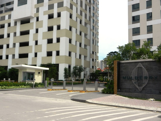 Chung cư Mulberry Lane có tất cả 5 tòa nhà, bắt đầu từ tháng 9/2013 cư dân thuộc tòa nhà E bắt đầu chuyển về sinh sống, cũng từ đây người dân vỡ mộng với chung cư được mệnh danh là cao cấp khi liên tiếp gặp sự cố.