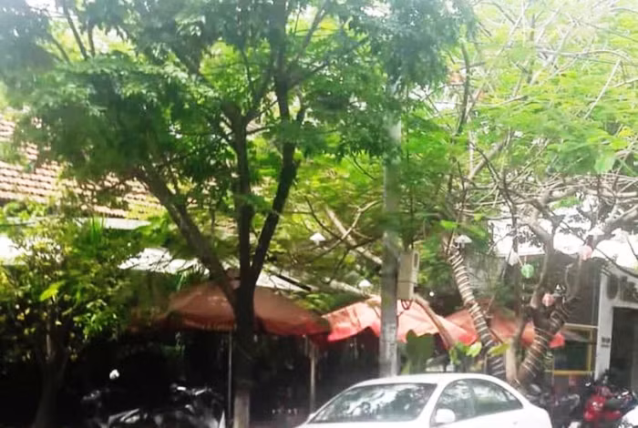 Cơ sở nhà đất 39 Pasteur được Ủy ban nhân dân thành phố Đà Nẵng bán lại cho Công ty cổ phần đầu tư Nhất Gia Phúc cũng không qua đấu giá là vi phạm điều 58 Luật Đất đai.