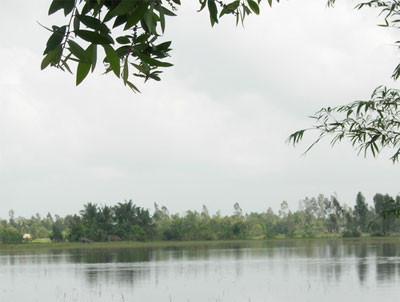 Cánh đồng nuôi tôm quảng canh ở Thới Bình, Cà Mau. Lợi dụng nơi chòi canh vắng vẻ, cụ Cung đã "chơi trò mèo chuột" với bé gái tuổi 15.