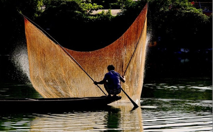 Điệu vũ của dòng sông... Điệu vũ của dòng sông...