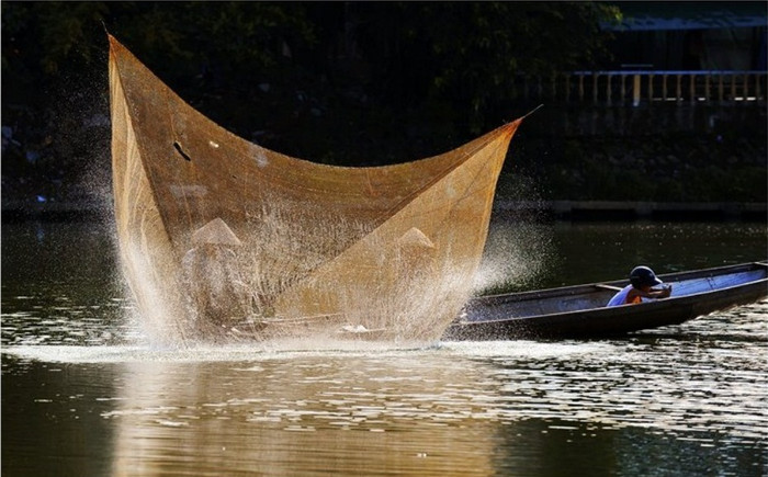 Cánh bướm trên sông Như Ý Cánh bướm trên sông Như Ý