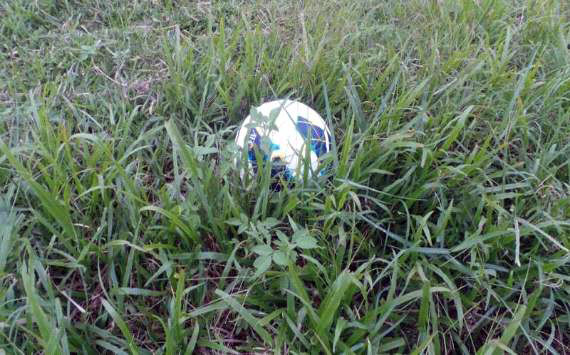 Cỏ sân Quân khu 6 không hề được chăm sóc. Cỏ sân Quân khu 6 không hề được chăm sóc.