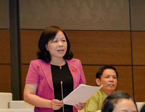 Đại biểu Quốc hội Nguyễn Thị Mai Hoa (ảnh quochoi.vn). Đại biểu Quốc hội Nguyễn Thị Mai Hoa (ảnh quochoi.vn).