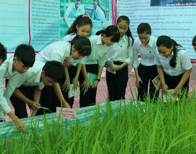 Dự kiến, học sinh cấp trung học Đồng Tháp sẽ học tập tài liệu giáo dục địa phương, trong đó có các hoạt động trải nghiệm thực tế (ảnh minh họa: Báo Đồng Tháp) Dự kiến, học sinh cấp trung học Đồng Tháp sẽ học tập tài liệu giáo dục địa phương, trong đó có các hoạt động trải nghiệm thực tế (ảnh minh họa: Báo Đồng Tháp)