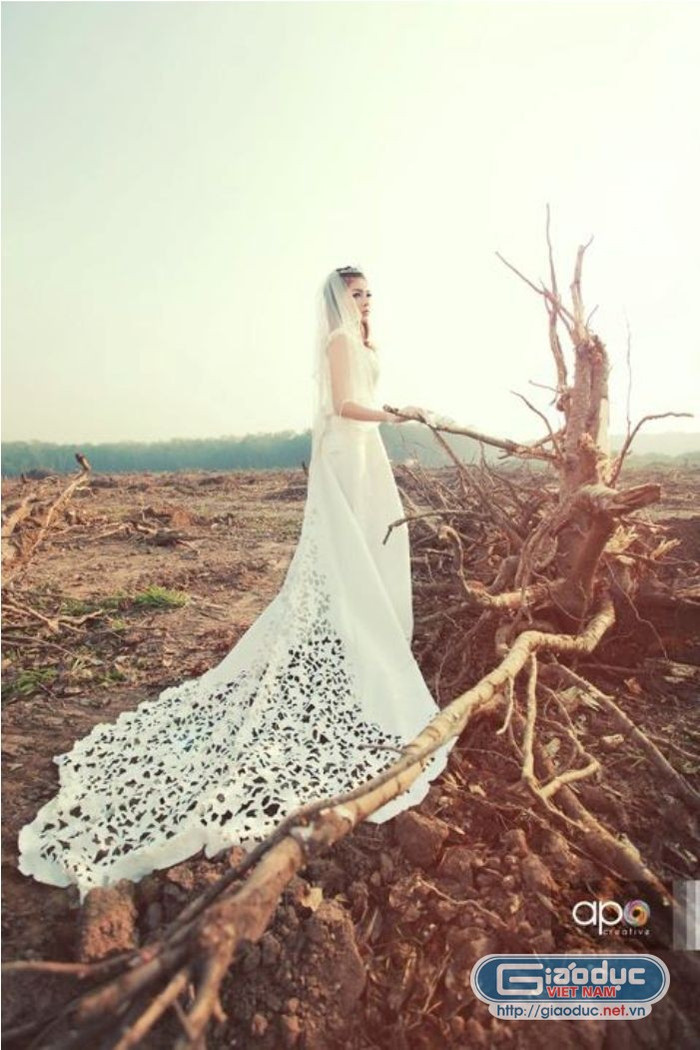 Hay thướt tha với váy cưới đuôi dài thêu zen gợi nét thanh lịch, sang trọng Hay thướt tha với váy cưới đuôi dài thêu zen gợi nét thanh lịch, sang trọng