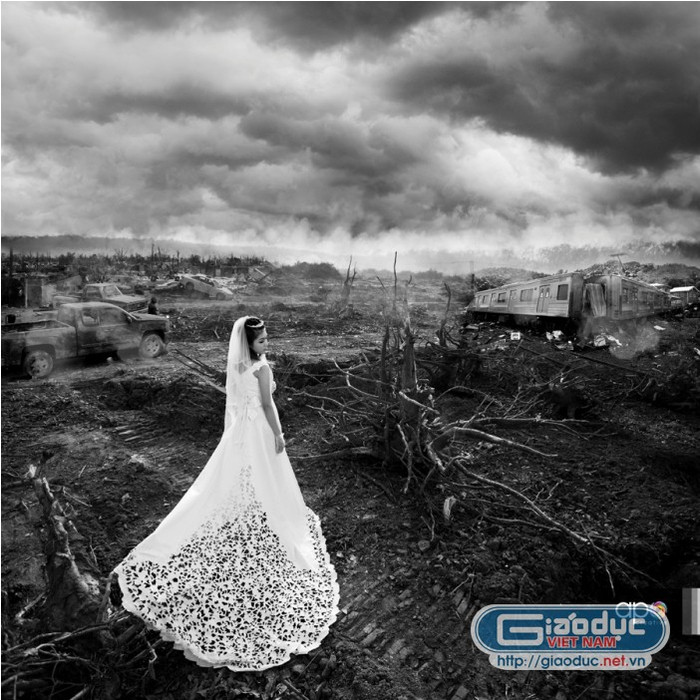 có những lúc như một hồn ma ngơ ngác giữa rừng hoang có những lúc như một hồn ma ngơ ngác giữa rừng hoang