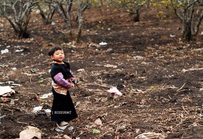 Cậu bé trông thật hồn nhiên trong bộ trang phục của người Mông Cậu bé trông thật hồn nhiên trong bộ trang phục của người Mông