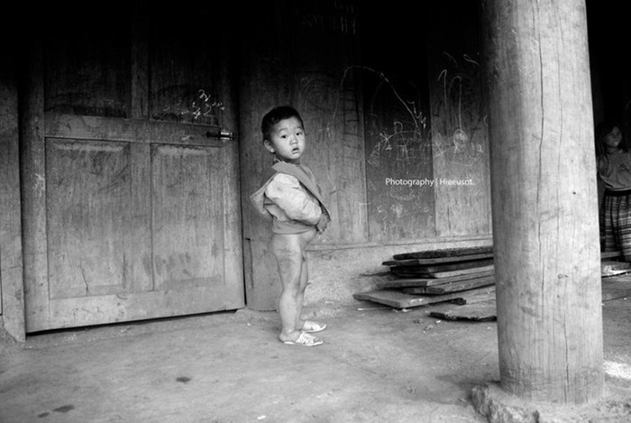 Phong phanh trong cái lạnh của mùa đông Phong phanh trong cái lạnh của mùa đông