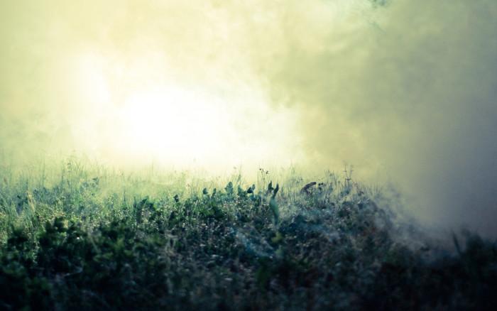 Ảnh chụp bởi Nikon D90, Nikkor 50mm f/1.8. Ảnh chụp bởi Nikon D90, Nikkor 50mm f/1.8.