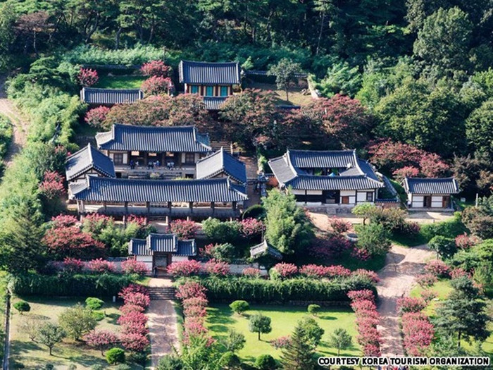 Byeongsan Seowon nổi bật với sắc hoa cúc Zinnia, sinh sống dưới triều Joson và tồn tại cho đén ngày hôm nay