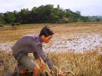 Dân đối mặt nạn đói vì đường chậm sửa, Tin tức trong ngày, nan doi, ngap lut, duong hong, dak lak, doi, mat mua, bao, tin tuc, tin hot, tin hay