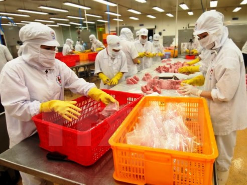 Theo Bộ Công Thương doanh nghiệp xuất nhập khẩu nếu không cẩn trọng trong giao dịch với đối tác nước ngoài rất dễ gặp rủi ro - ảnh minh họa/ nguồn TTXVN